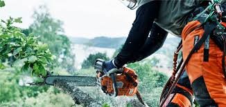 Motorlu Testere Aksesuarları: Güvenlik ve Performans